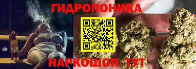 гидропоника Кулебаки